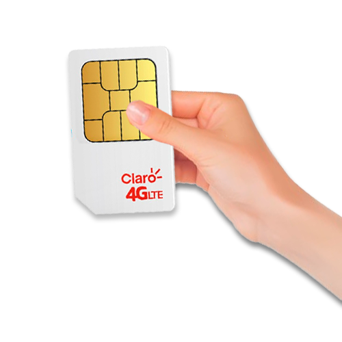 Mano sosteniendo chip